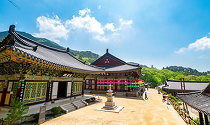 Tour a SABORES Y COLORES DE COREA 2025 en español | Tours a todo el mundo Tour a SABORES Y COLORES DE COREA 2025 en español | Tours a todo el mundo