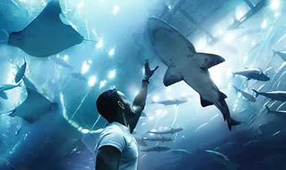 Tour a DUBAI MÁGICO CON MALDIVAS 2025 en español | Tours a todo el mundo Tour a DUBAI MÁGICO CON MALDIVAS 2025 en español | Tours a todo el mundo