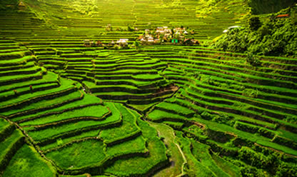 Tour a FILIPINAS ESENCIAL Y JOYAS DE PALAWAN 2025 en español | Tours a todo el mundo Tour a FILIPINAS ESENCIAL Y JOYAS DE PALAWAN 2025 en español | Tours a todo el mundo