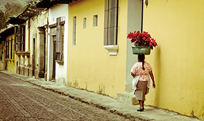 Tour a LEGADO MAYA 2026 en español | Tours a todo el mundo Tour a LEGADO MAYA 2026 en español | Tours a todo el mundo